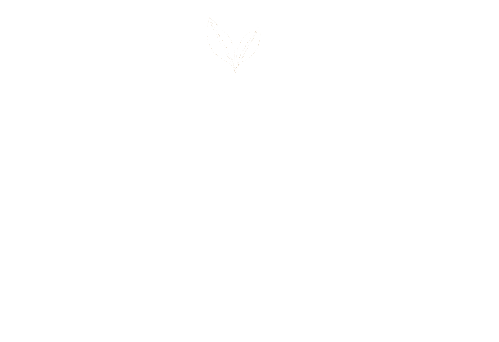 DXCARE • Pure Natural You